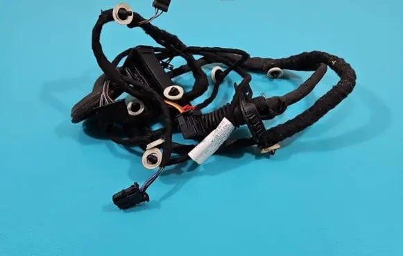 Rear door wiring loom