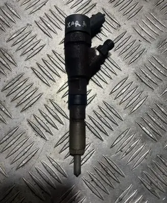 Citroen Xsara Picasso Fuel injector 9653594280