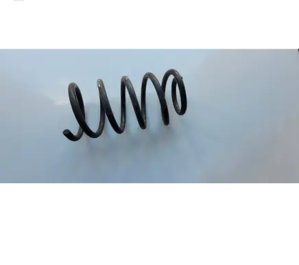 Hyundai Santa Fe Rear coil spring