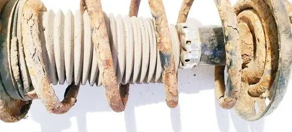 Opel Signum Front coil spring