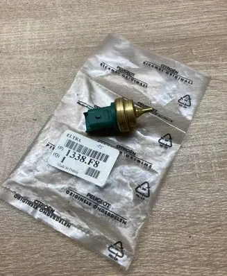 Peugeot 207 Coolant temperature sensor 1338F8