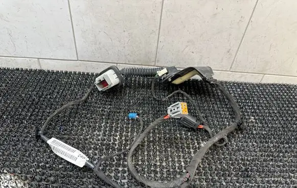 Rear door wiring loom