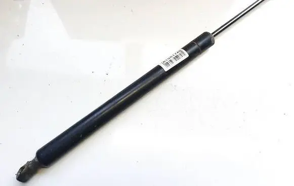 Tailgate/trunk strut/damper