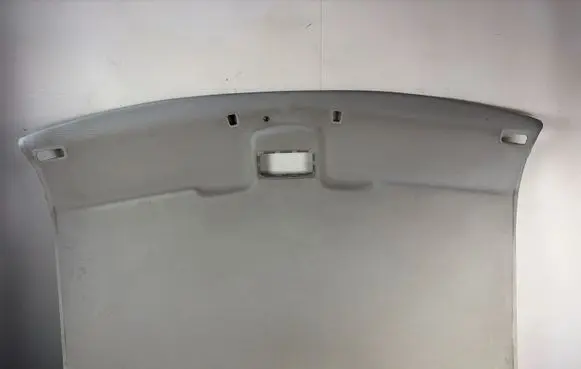 Volkswagen Multivan T4 Headlining 7058675018ZZ