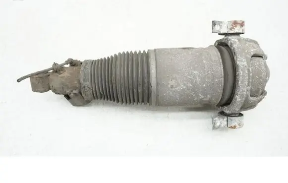 Porsche Cayenne (9PA) Rear shock absorber/damper 7L5512022G