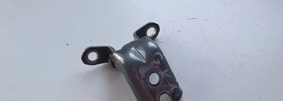 Nissan Qashqai+2 Rear door lower hinge