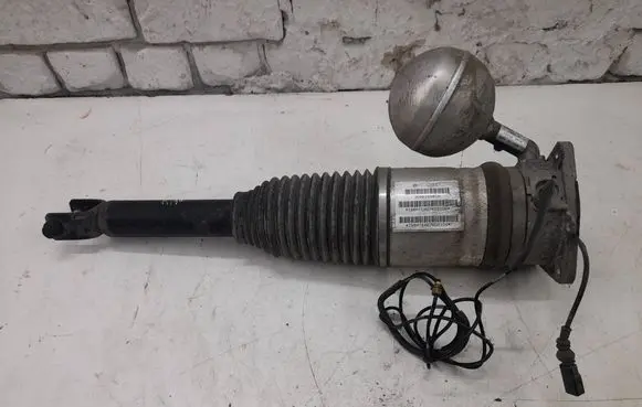 Volkswagen Phaeton Shock absorber/damper/air suspension 3D0616001N 168ATE0276D21DD