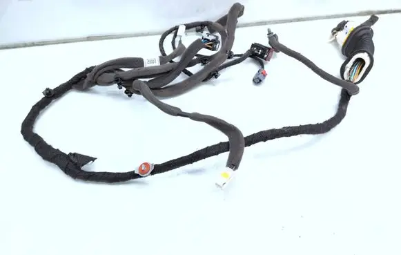 Chevrolet Captiva Front door wiring loom 95491032