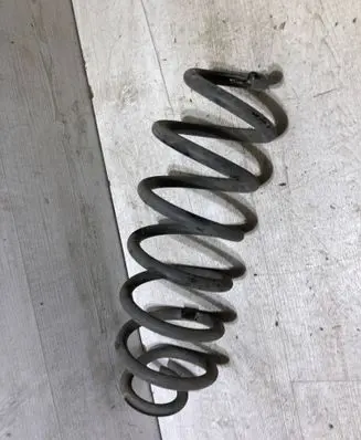 Rear coil spring