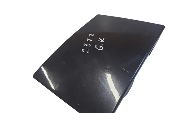 Rear/tail light trim molding