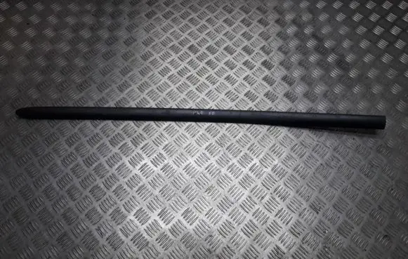 Nissan Almera Tino Front door trim (molding) 