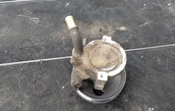 Renault Laguna II Power steering pump