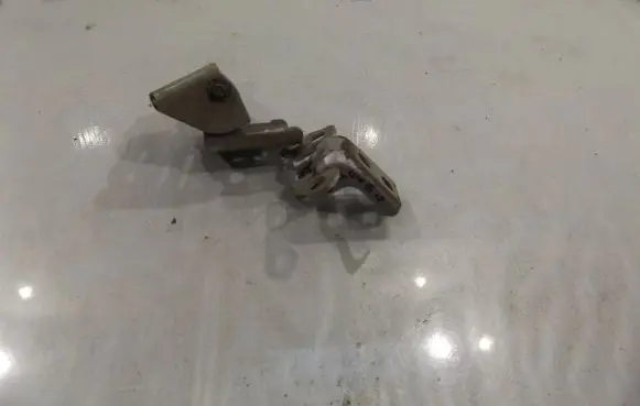 Renault Clio III Front door lower hinge 