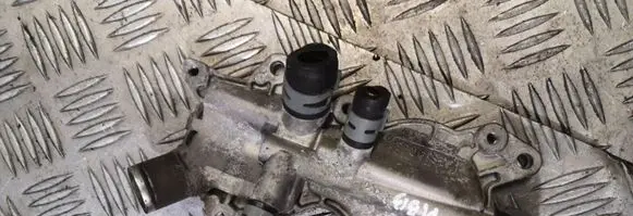 Thermostat/thermostat housing