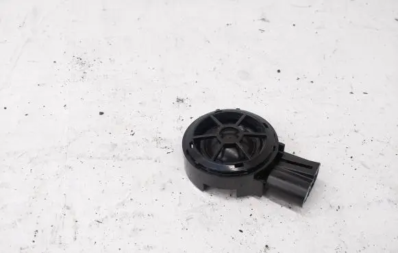Front door high frequency speaker