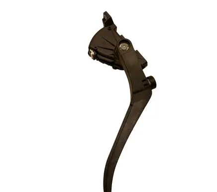 Volkswagen Touareg I Accelerator throttle pedal 7L6723507 6PV00777024