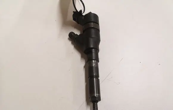 Peugeot 406 Fuel injector 0445110062 9640088780