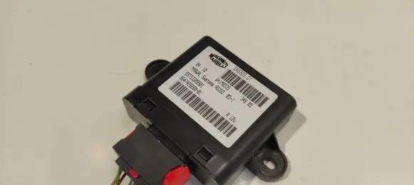 Citroen C5 Fuel injection pump control unit/module 09733309901