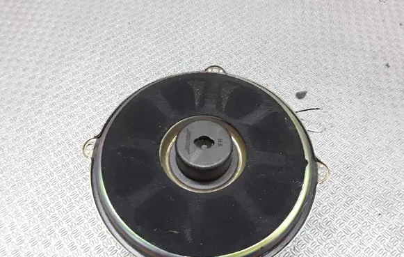 Nissan Maxima A34 Rear door speaker 281307Y310