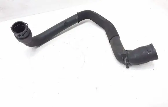 Mercedes-Benz A W169 Engine coolant pipe/hose A1698301696