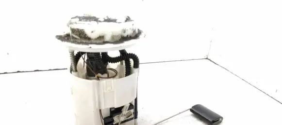 Renault Latitude (L70) In-tank fuel pump 172020064R 1001820210 GJL0025L