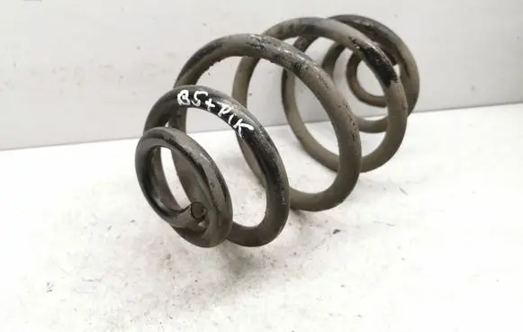 Volkswagen PASSAT B5.5 Rear coil spring