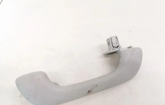 Front interior roof grab handle