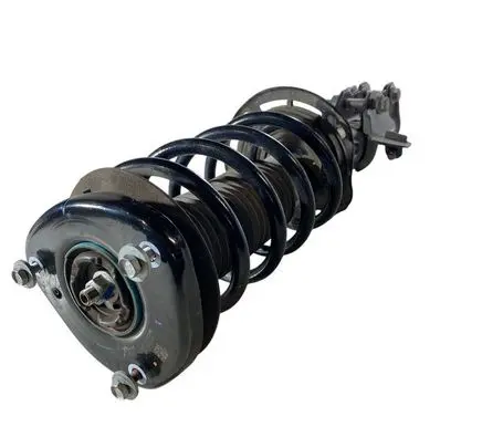 Ford Bronco Front shock absorber with coil spring LX615310 LX6118K001JBE LX615310FNE