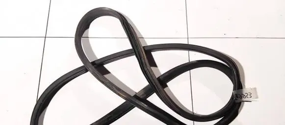 Volkswagen Sharan Rubber seal front coupe door 