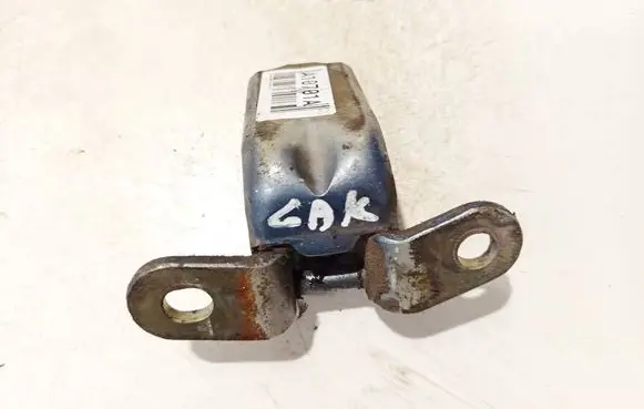 Hyundai Santa Fe Rear door lower hinge