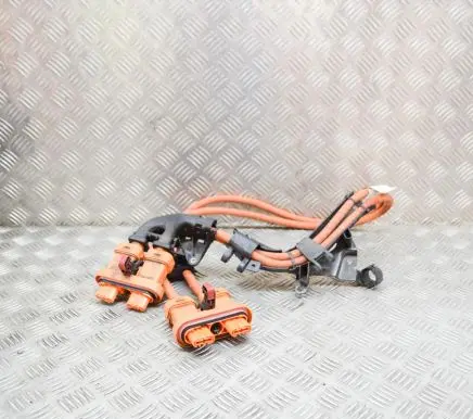 Volkswagen ID.3 Other wiring loom 1EA015V1 1EA971015S