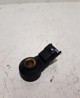 Porsche Cayenne (9PA) Detonation knock sensor 0261231173