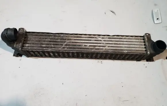 Volkswagen Sharan Intercooler radiator 7M3145805