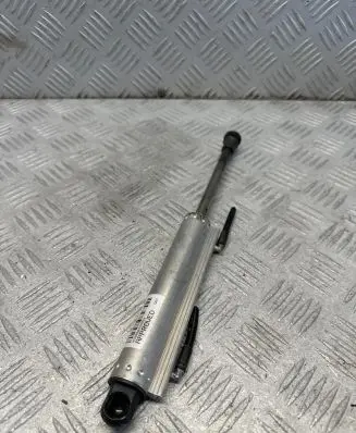 Tailgate strut