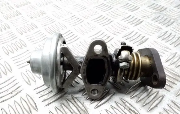 Volkswagen Bora EGR valve 038131501