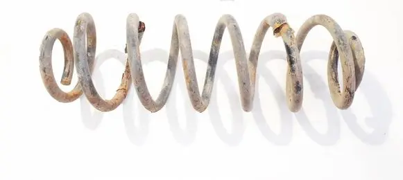 Rear coil spring