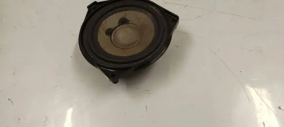 Panel speaker