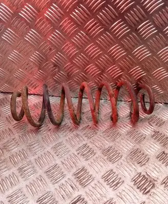 Skoda Octavia Mk2 (1Z) Rear coil spring
