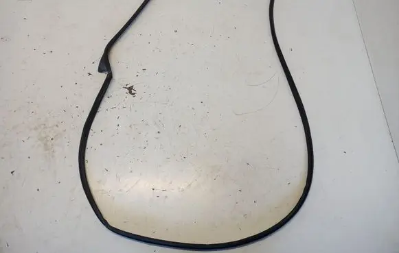 Hyundai Tucson IV NX4 Front door rubber seal 