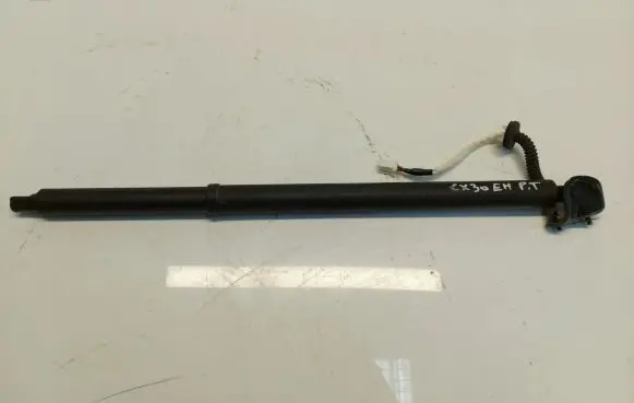 Tailgate strut