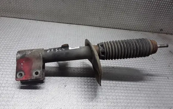 Peugeot 307 Front shock absorber/damper 