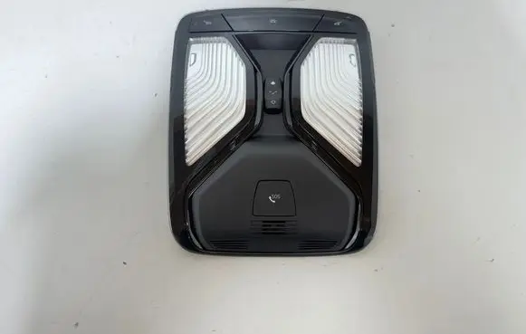BMW X3 G01 Front seat light 5B32488 5B32494