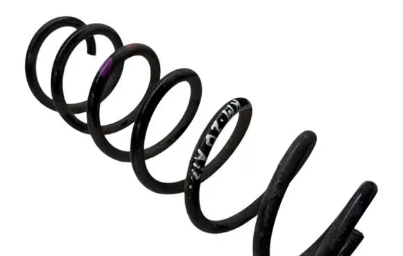 Rear coil spring