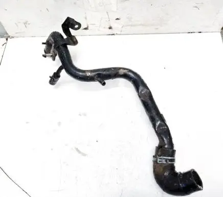 Volkswagen PASSAT B5.5 Engine coolant pipe/hose