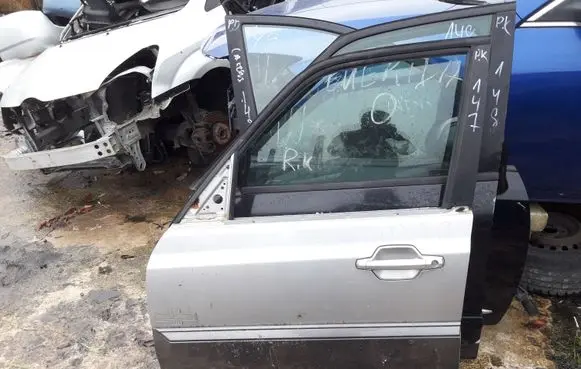 Hyundai Terracan Front door