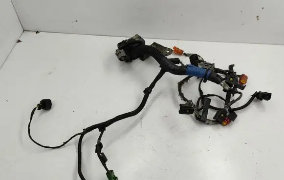 Ford Transit - Tourneo Connect Engine installation wiring loom
