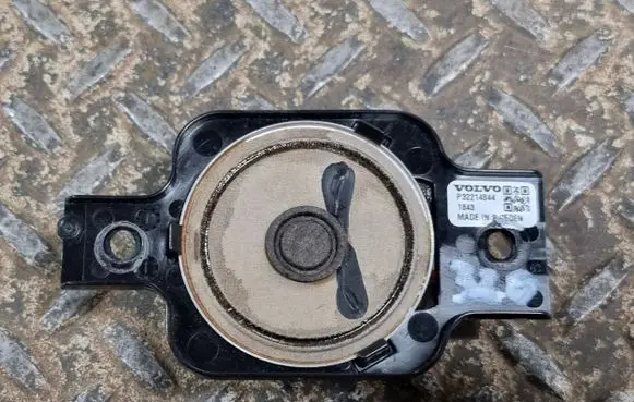 Panel speaker