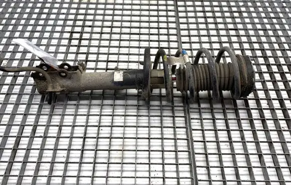 Ford Ecosport Front shock absorber/damper GN1518045