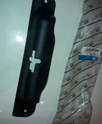 Engine bonnet/hood lock trim molding