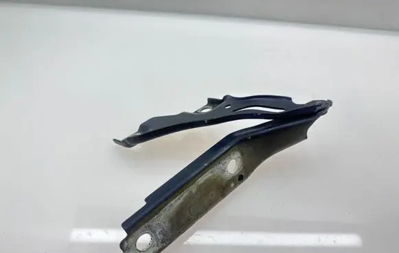Engine bonnet/hood hinges